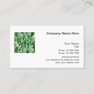 Carte De Visite Thème de plantes succulentes Nature