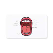 Thérapeutique vocale QR personnalisée