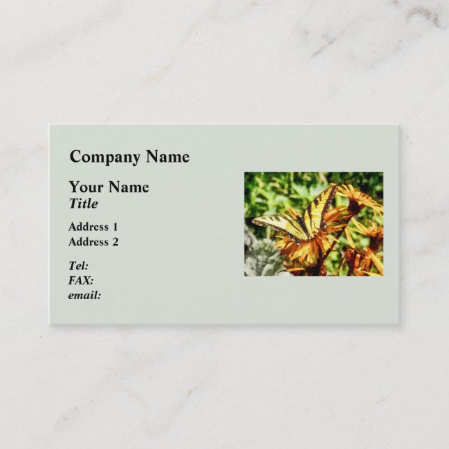 Carte De Visite Tiger Swallowtail sur Fleur sauvage jaune (Devant)