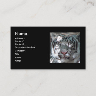 Carte De Visite Tigre blanc Bengale