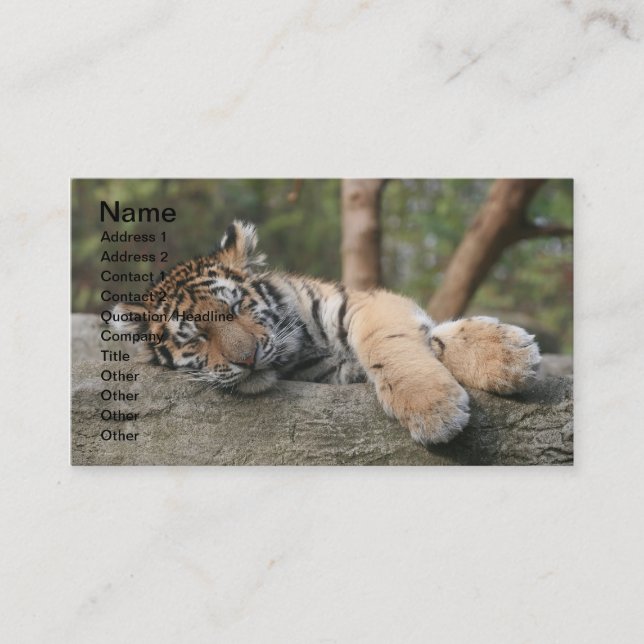 Carte De Visite Tigre de bébé de sommeil (Devant)