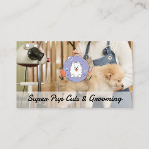 Carte De Visite Toiletteur Brosse Chien   Services Animaux