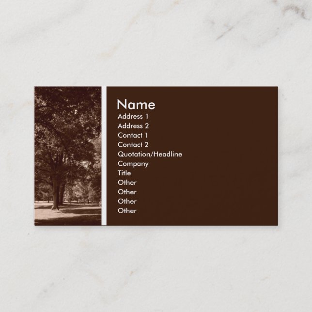 Carte De Visite Ton de texture (en parc) (Devant)