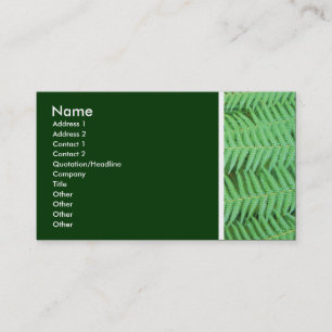Carte De Visite Tonalité texturale (fougères)