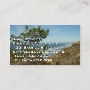 Carte De Visite Torrey Pine and California Coastline Landscape
