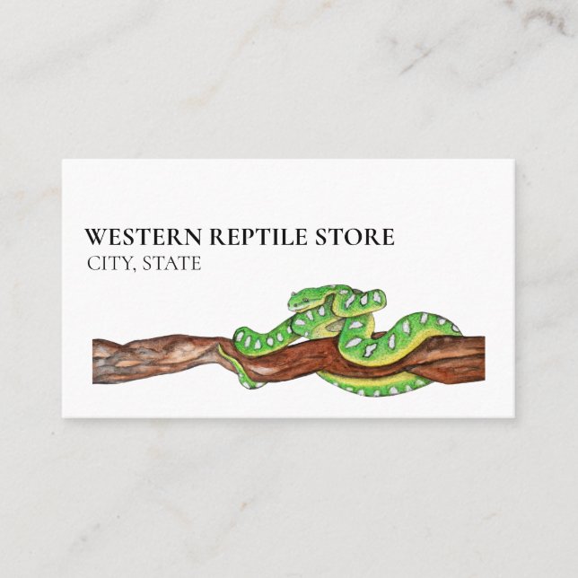 Carte De Visite Tortoise de serpent Repestin Python Boa Pet (Devant)