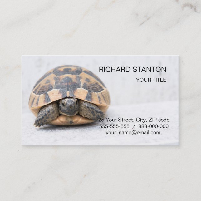 Carte De Visite Tortue (Devant)