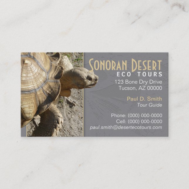 Carte de visite Tortue (Devant)
