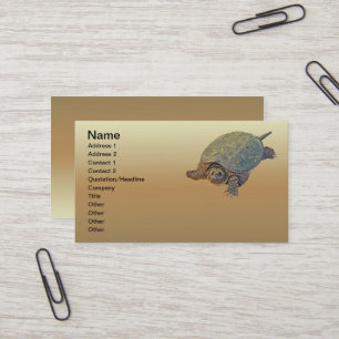Carte De Visite Tortue commune - Chelydra serpentina