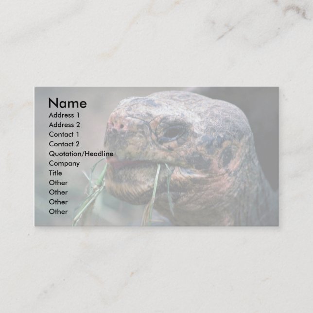 Carte De Visite Tortue des Galapagos, îles Galapagos (Devant)