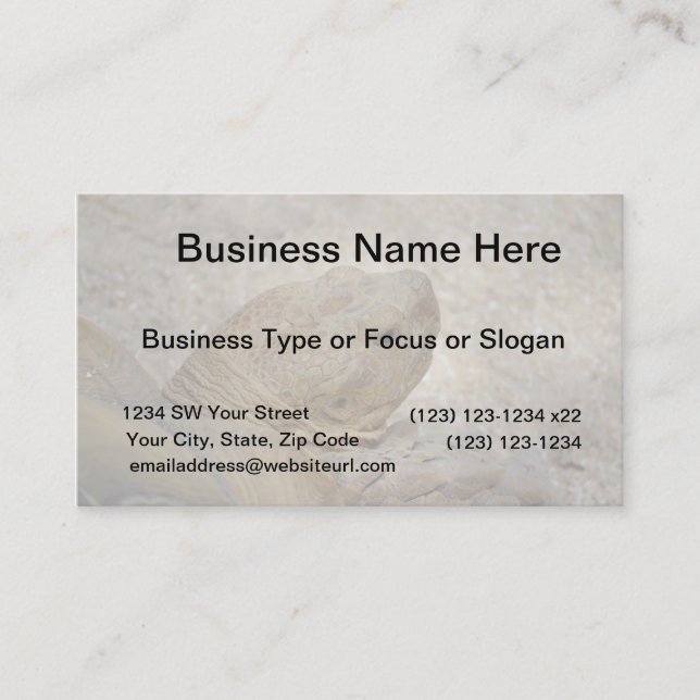 Carte De Visite tortue gros plan vieille tortue (Devant)