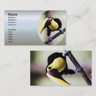 Carte De Visite Toucan du Costa Rica