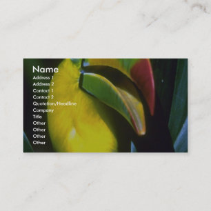Carte De Visite toucan Quille-affiché