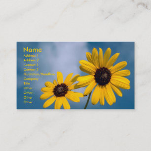 Carte De Visite Tournée