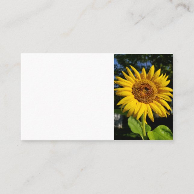 Carte De Visite Tournesol (Devant)