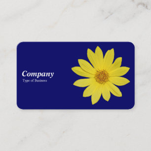 Carte De Visite Tournesol Helianthus 'Lemon Queen' - Bleu foncé