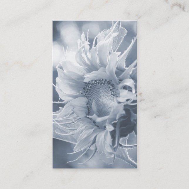 Carte De Visite Tournesol Macro en bleu gris (Devant)