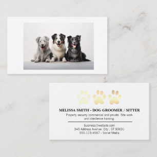 Carte De Visite Toutous   Soins pour animaux de compagnie