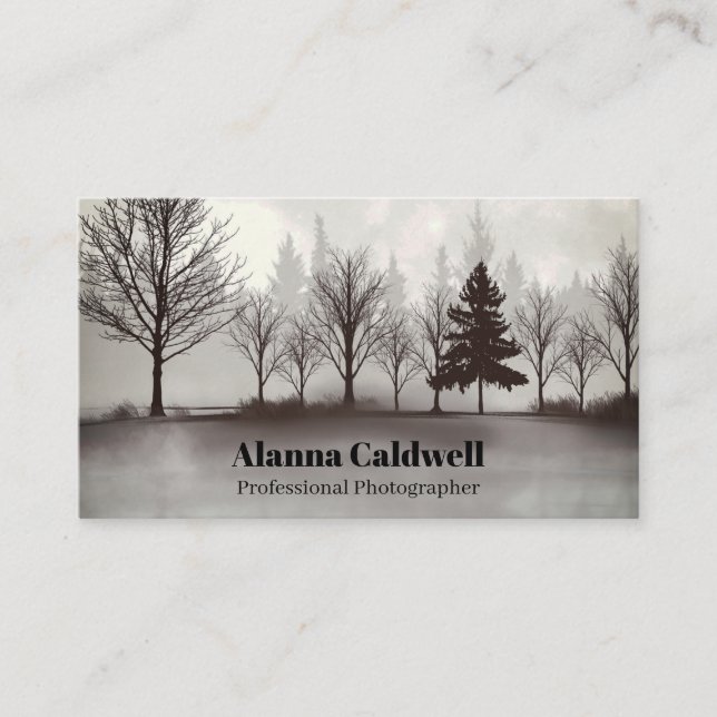 Carte De Visite Trees in the Mist Photographer Artist (Devant)