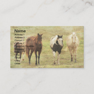 Carte De Visite Trois chevaux et un poney