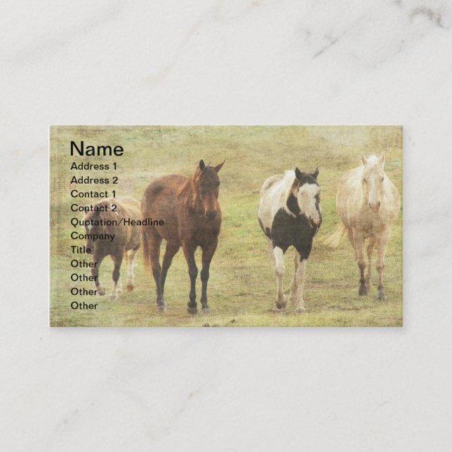 Carte De Visite Trois chevaux et un poney (Devant)