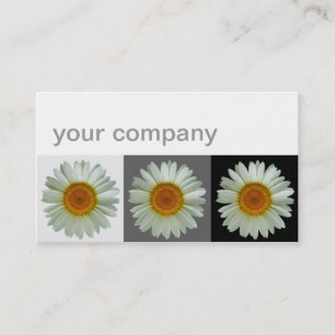 Carte De Visite Trois floraux modernes de marguerites blanches