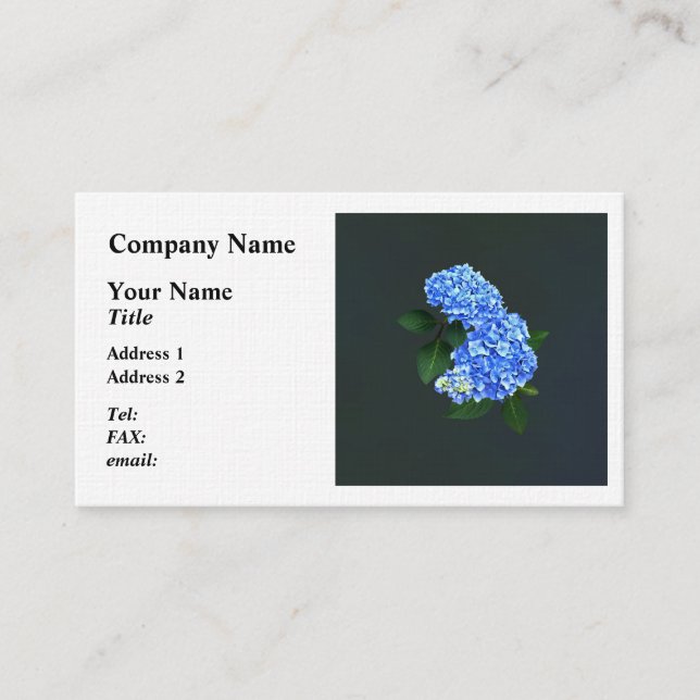Carte De Visite Trois Hydrangeas Bleus (Devant)