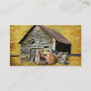 Carte De Visite Trois Petits Cochons À La Grange Rustique Snoozing