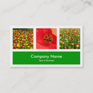Carte De Visite Trois Photos Plus Un - Vert Herbe
