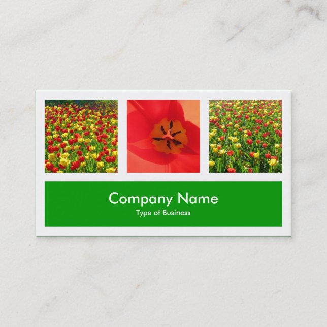 Carte De Visite Trois Photos Plus Un - Vert Herbe (Devant)