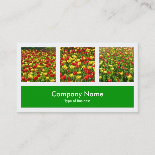 Carte De Visite Trois Photos Plus Un - Vert Herbe (Devant)