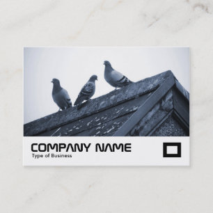 Carte De Visite Trois pigeons sur un toit