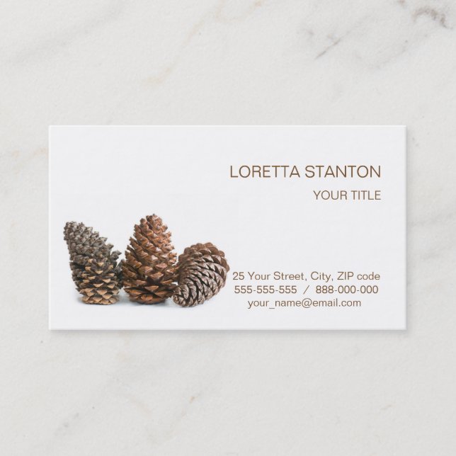 Carte De Visite Trois pinecones (Devant)