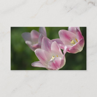 Carte de visite trois tulipes roses