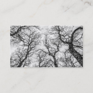 Carte De Visite Trop de Crooked, Arbres nu
