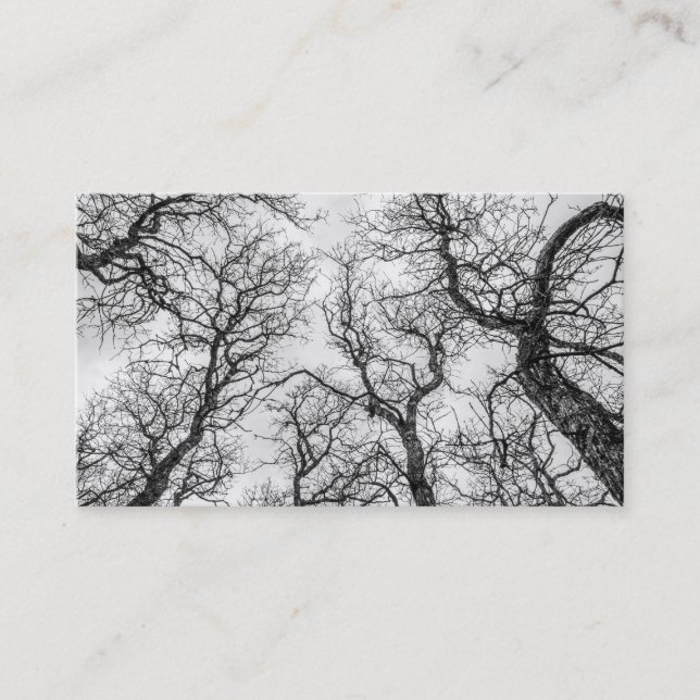 Carte De Visite Trop de Crooked, Arbres nu (Devant)