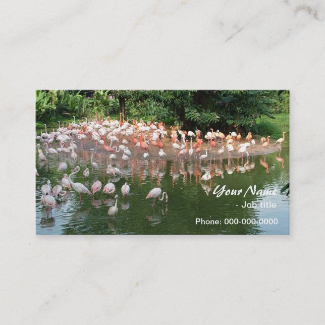 Carte De Visite troupeau de flamants roses (Devant)