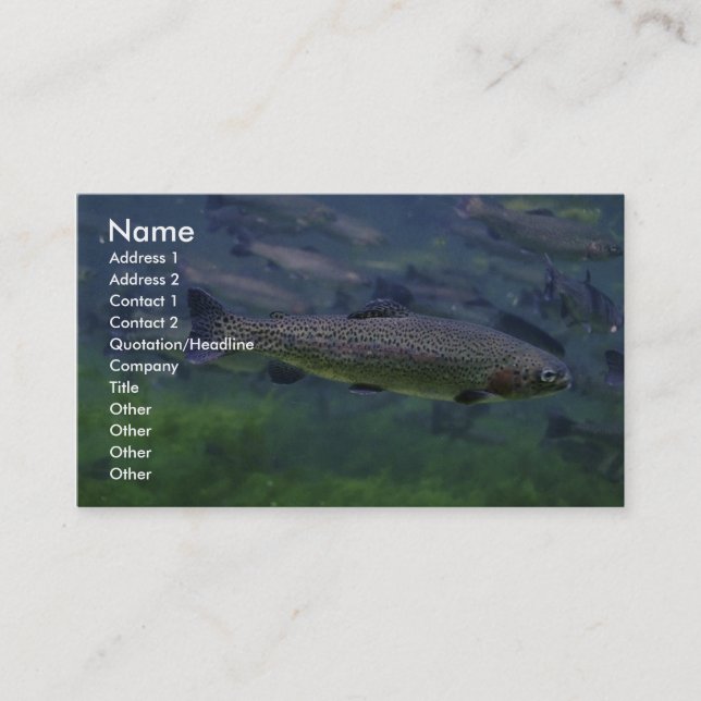 Carte De Visite Truite arc-en-ciel (Devant)