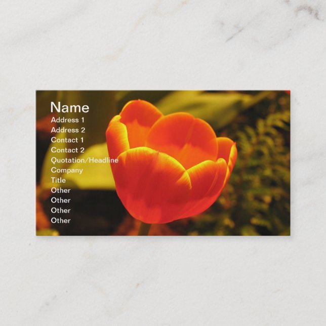 Carte de visite Tulipe orange (Devant)