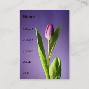 Carte De Visite Tulipe pourpre