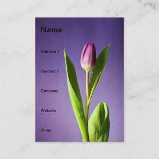 Carte De Visite Tulipe pourpre