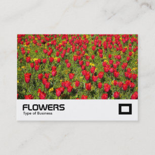 Carte De Visite Tulipes 02