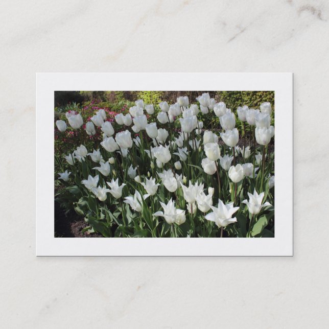 Carte De Visite Tulipes blanches (bordées) (Devant)