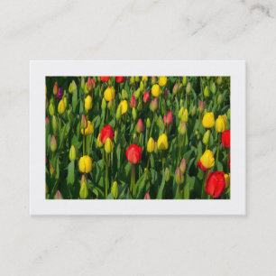 Carte De Visite Tulipes colorées