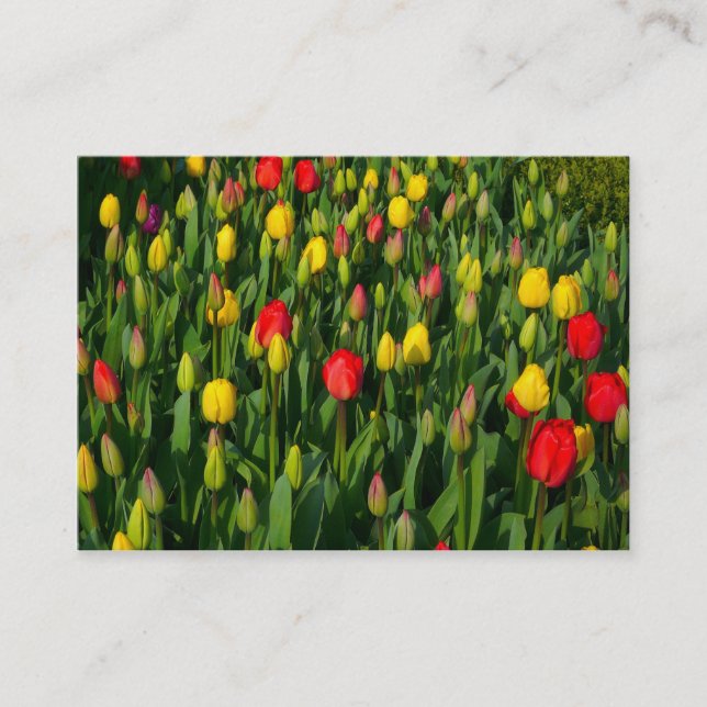 Carte De Visite Tulipes colorées (Devant)