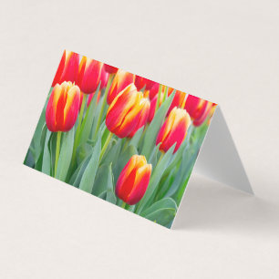 Carte De Visite Tulipes rouges et jaunes vibrantes dans un jardin 