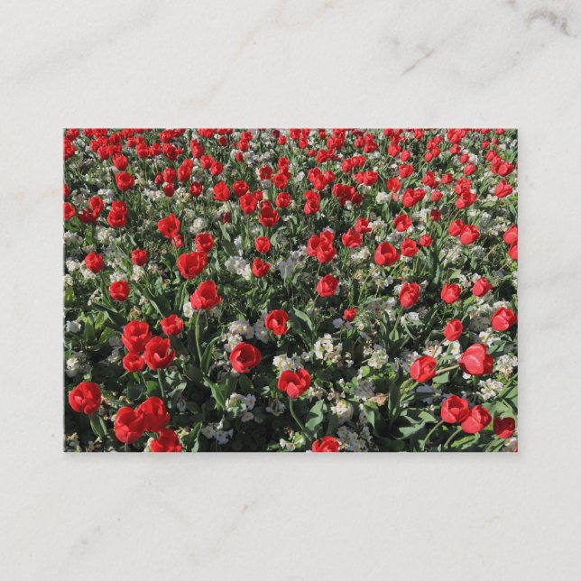 Carte De Visite Tulipes rouges et primeurs (Devant)