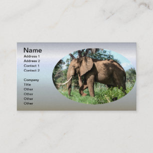 Carte De Visite Un éléphant africain au Safari