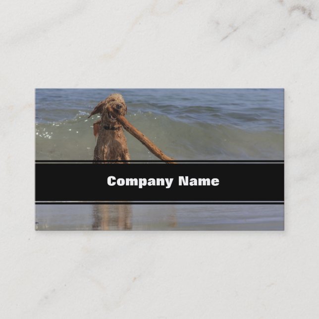 Carte De Visite Un jour pour chien après-midi (Devant)