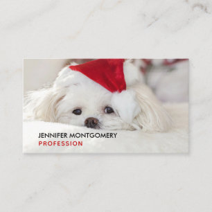 Carte De Visite Un mignon chien blanc dans un Casquette de Noël ro